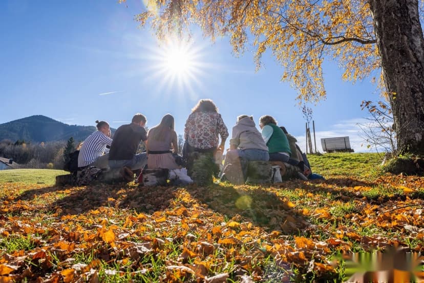 Gemeinschaft im Sonnenlicht