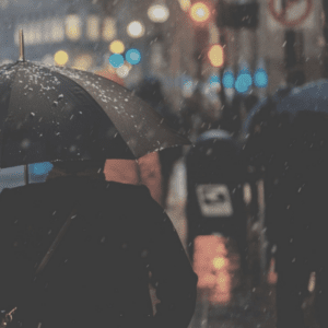 KW 04 Überfokussierung